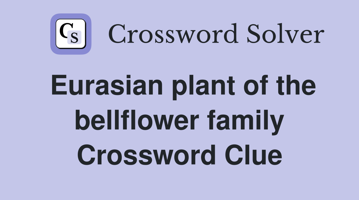 Eurasian plant of the bellflower family Crossword Clue