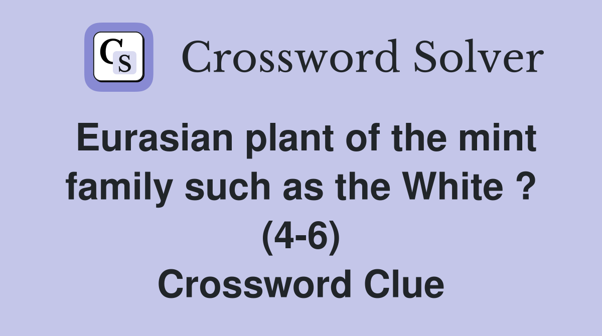 Eurasian plant of the mint family such as the White ? (4-6) Crossword Clue