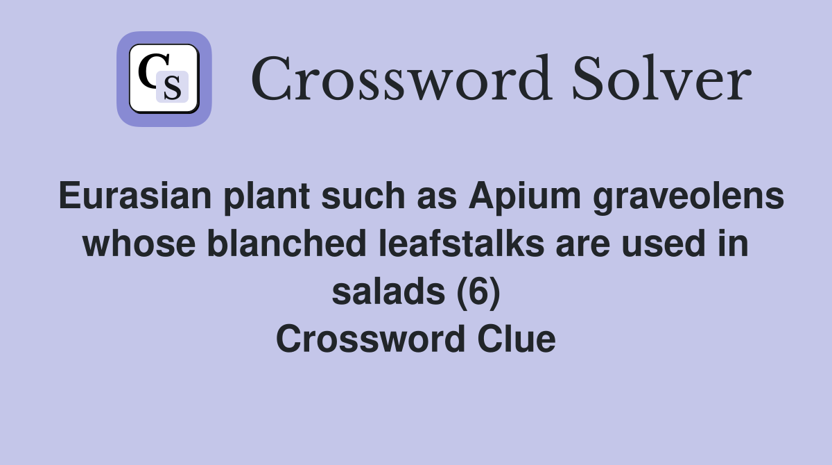 Eurasian plant such as Apium graveolens whose blanched leafstalks are used in salads (6) Crossword Clue