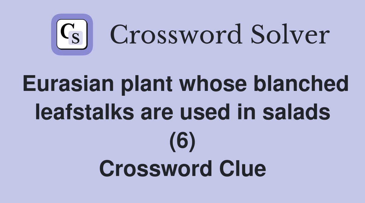 Eurasian plant whose blanched leafstalks are used in salads (6) Crossword Clue