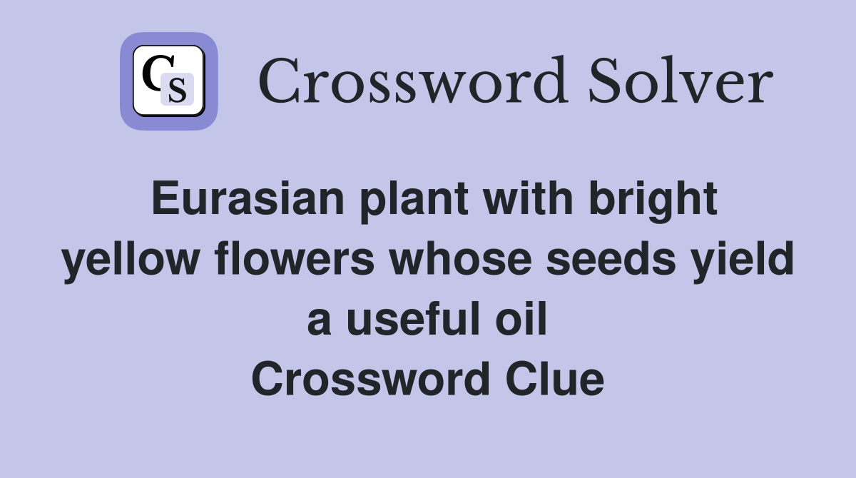 Eurasian plant with bright yellow flowers whose seeds yield a useful oil Crossword Clue