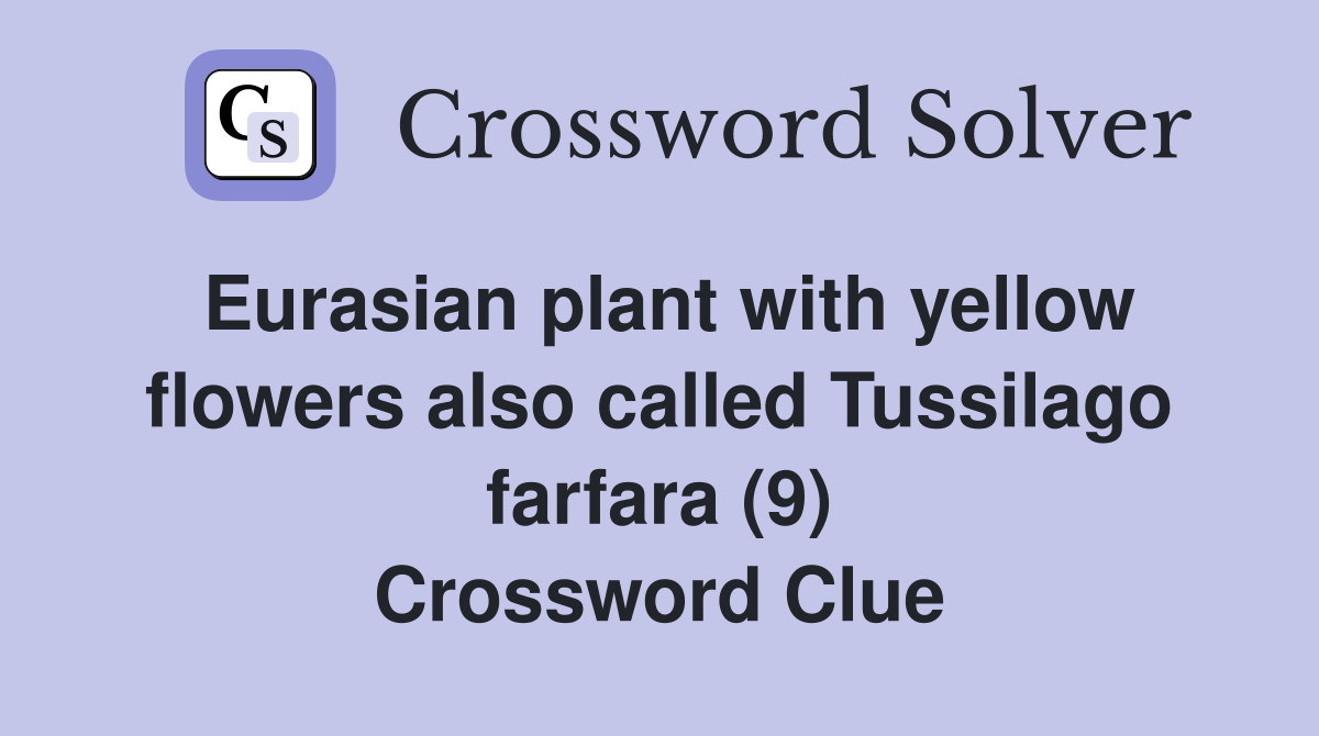 Eurasian plant with yellow flowers also called Tussilago farfara (9) Crossword Clue