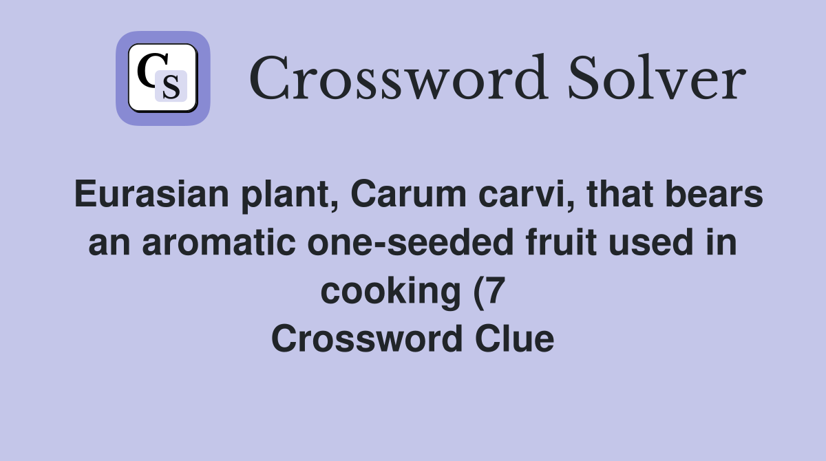 Eurasian plant Carum carvi that bears an aromatic one seeded fruit Eurasian plant Carum carvi that bears an aromatic one seeded fruit