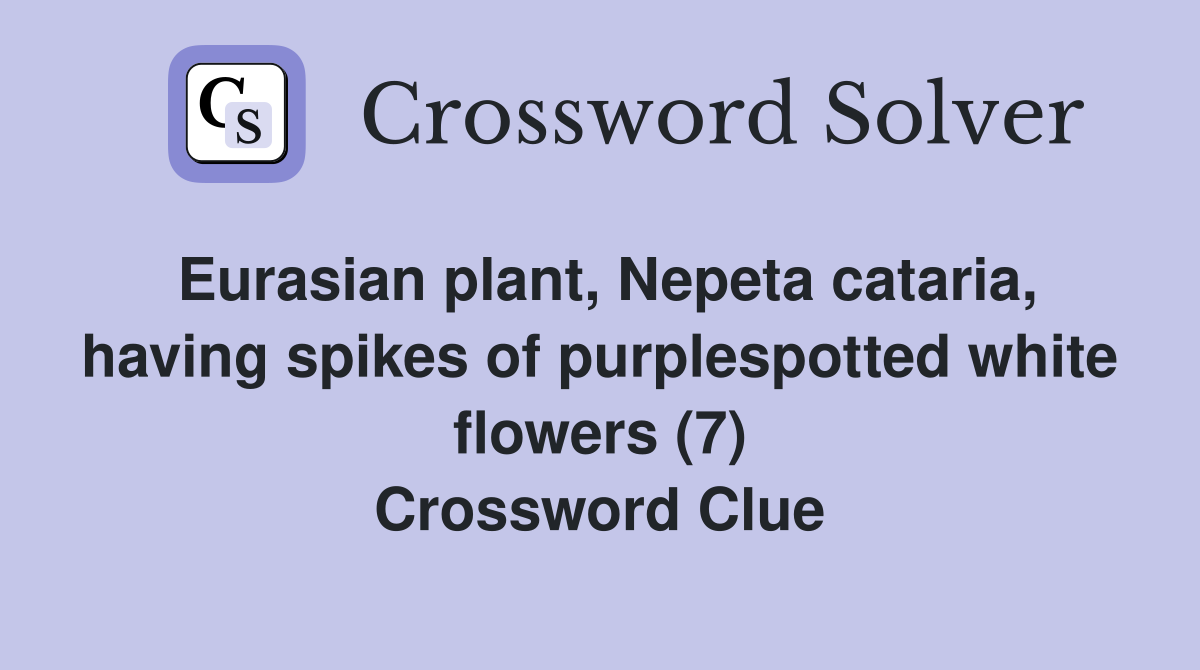 Eurasian plant, Nepeta cataria, having spikes of purplespotted white flowers (7) Crossword Clue