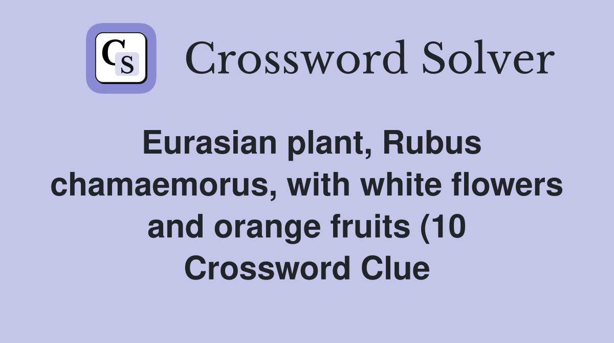 Eurasian plant Rubus chamaemorus with white flowers and orange fruits Eurasian plant Rubus chamaemorus with white flowers and orange fruits