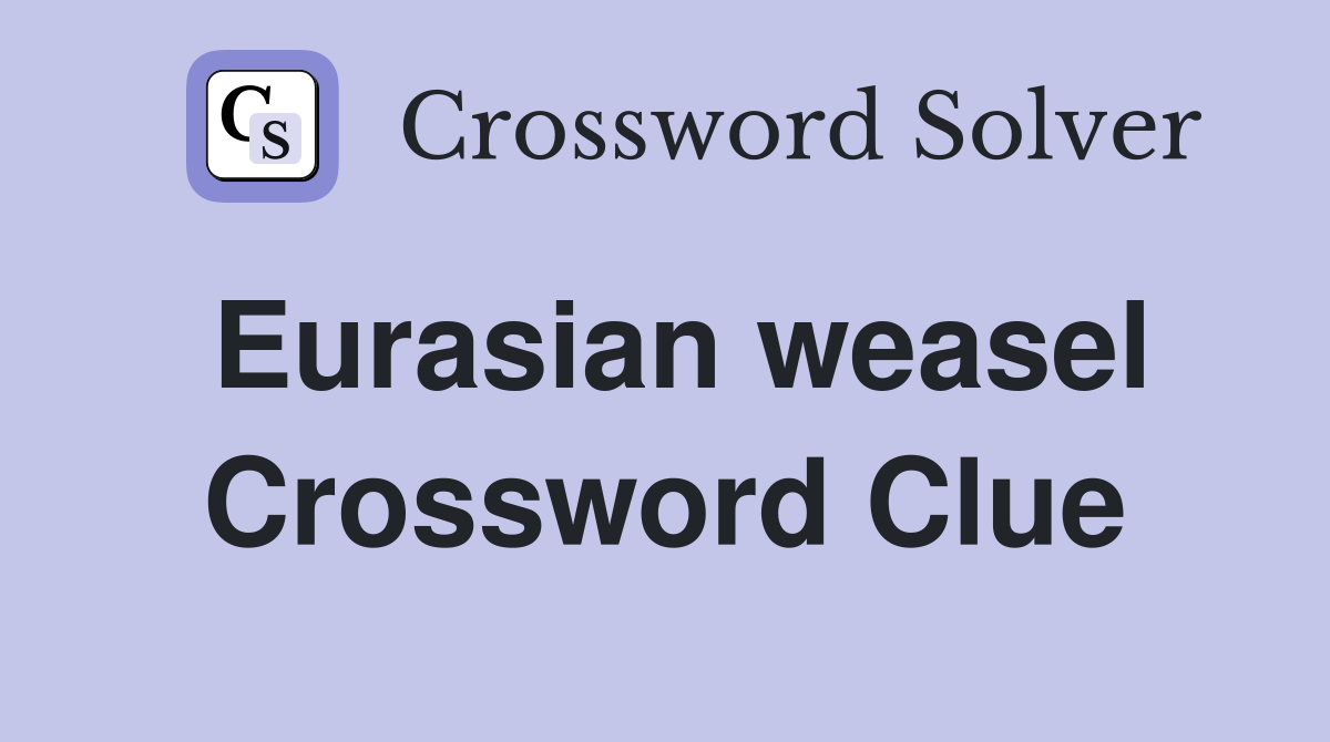 Eurasian weasel Crossword Clue