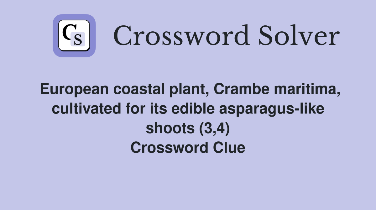 European coastal plant, Crambe maritima, cultivated for its edible asparagus-like shoots (3,4) Crossword Clue