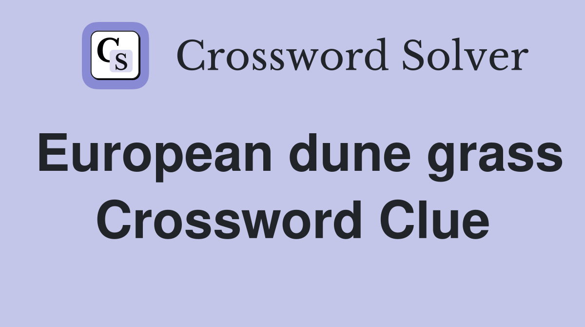 European dune grass Crossword Clue