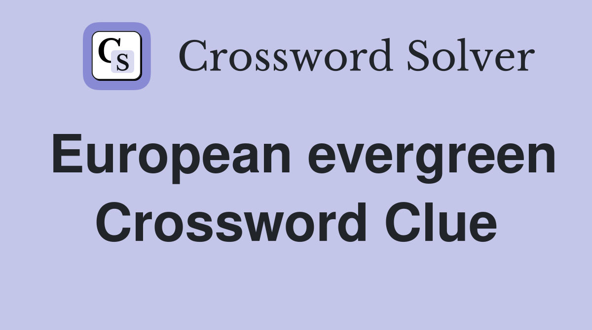 European evergreen Crossword Clue