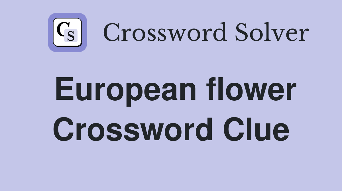 European flower Crossword Clue