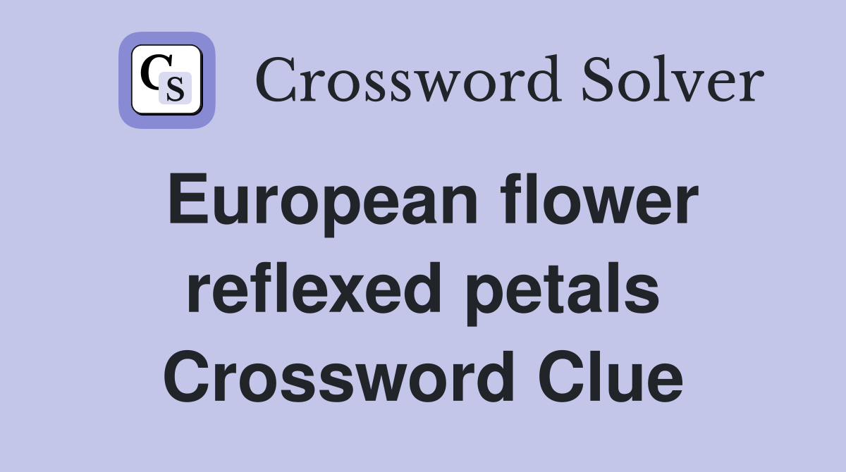 European flower reflexed petals Crossword Clue