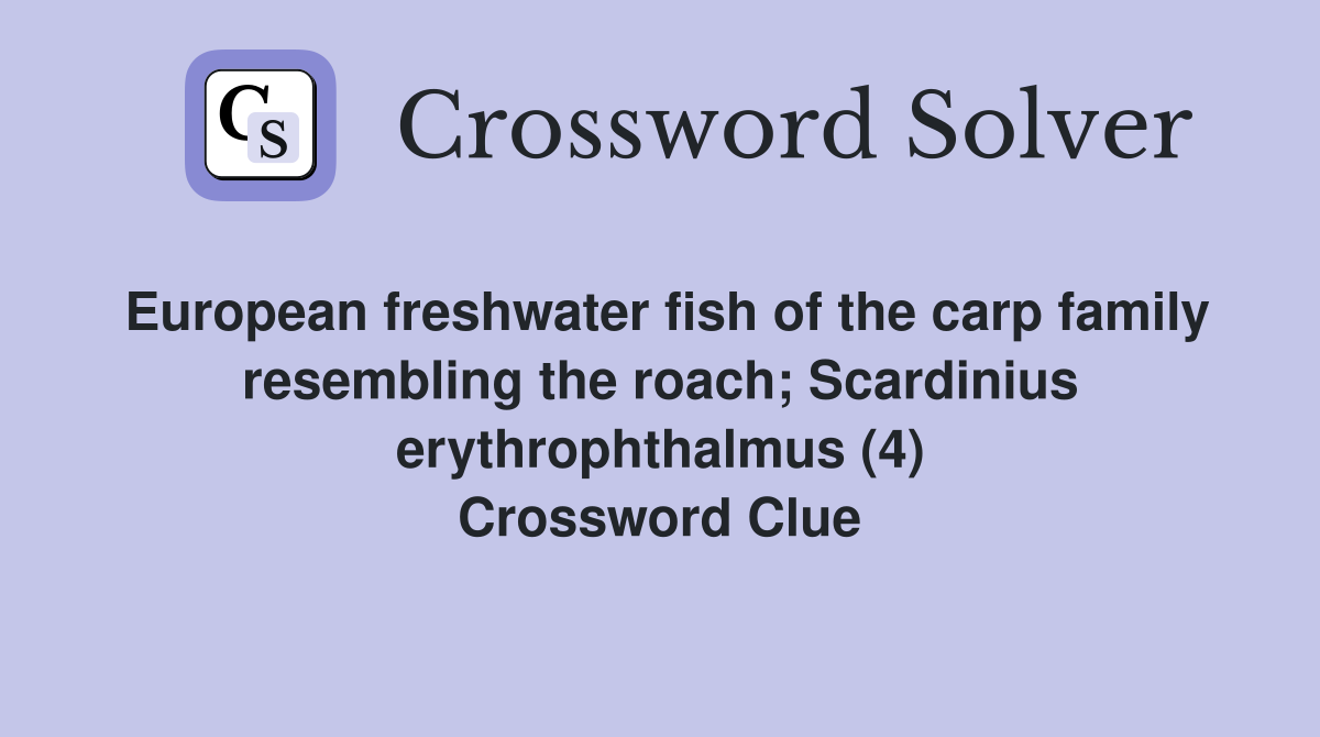 European freshwater fish of the carp family resembling the roach; Scardinius erythrophthalmus (4) Crossword Clue