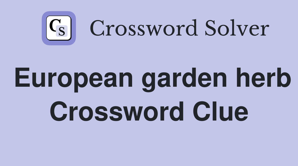 European garden herb Crossword Clue