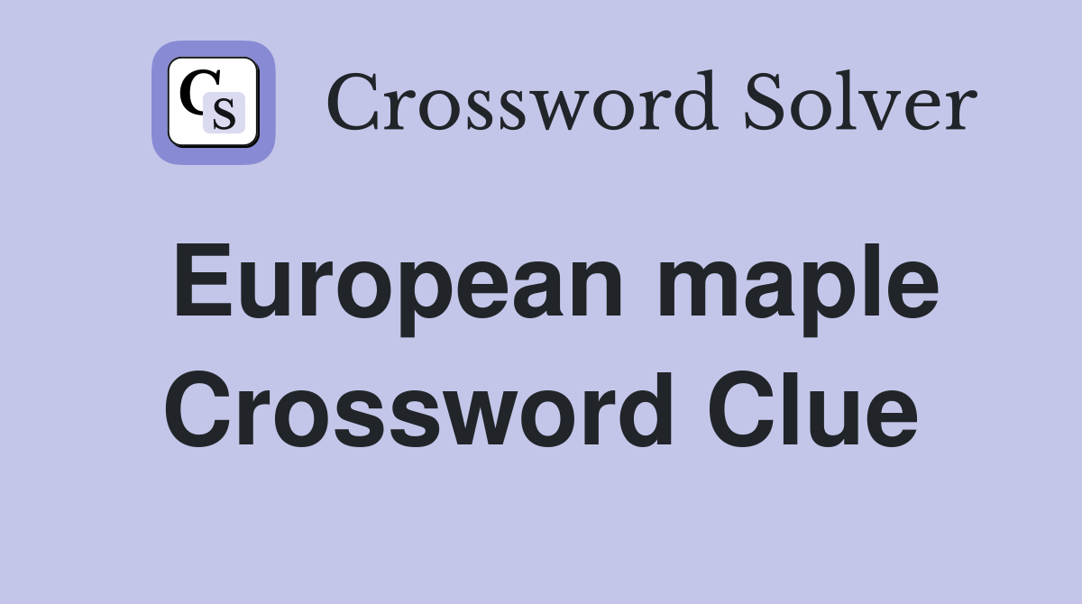 European maple Crossword Clue