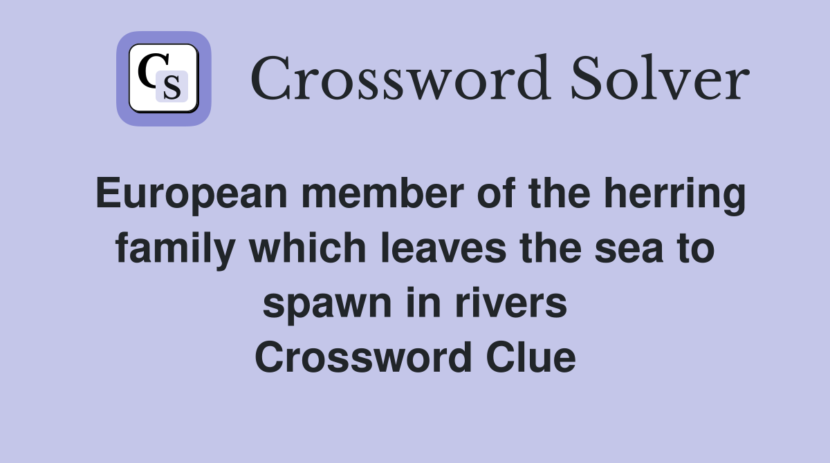European member of the herring family which leaves the sea to spawn in rivers Crossword Clue