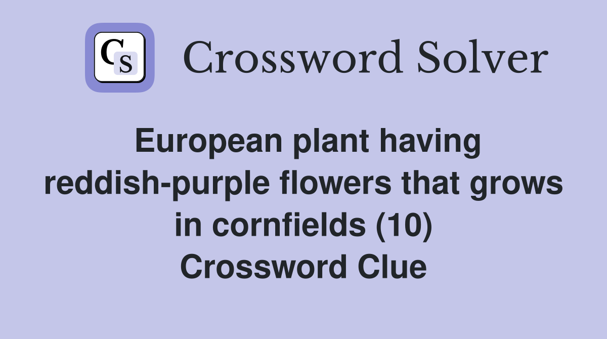 European plant having reddish-purple flowers that grows in cornfields (10) Crossword Clue