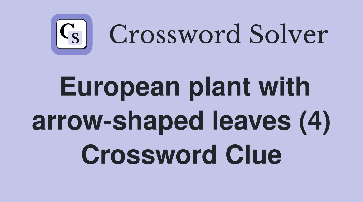 European plant with arrow-shaped leaves (4) Crossword Clue