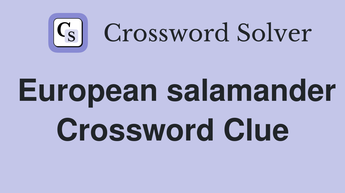European salamander Crossword Clue