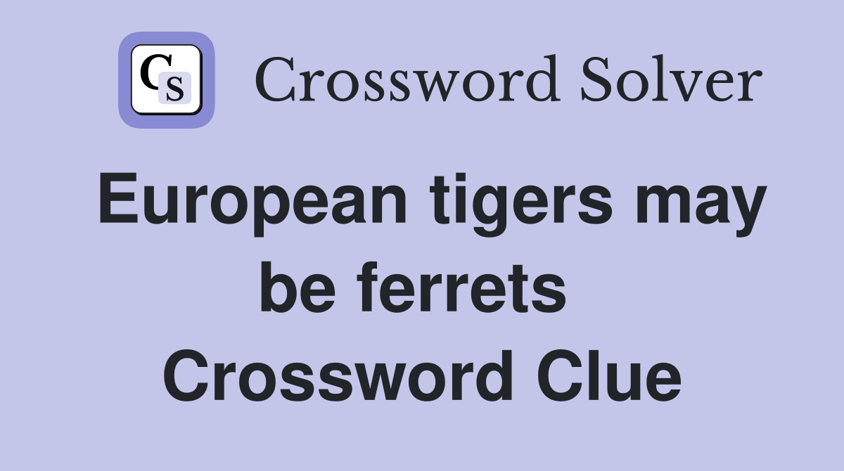 European tigers may be ferrets  Crossword Clue