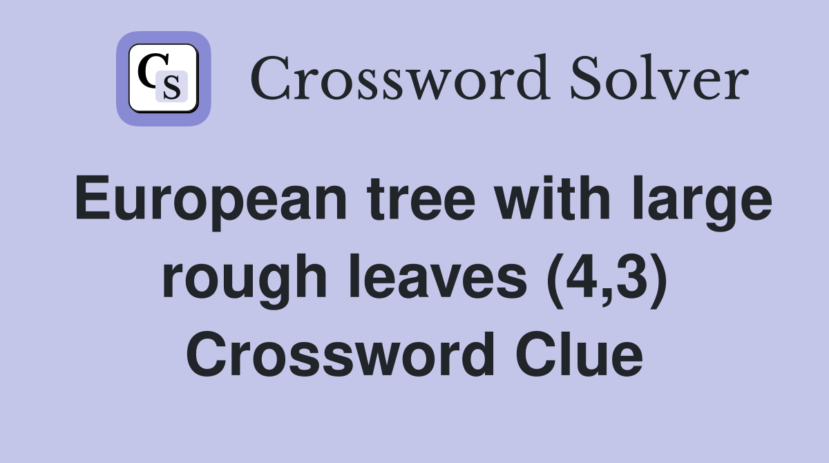 European tree with large rough leaves (4,3) Crossword Clue