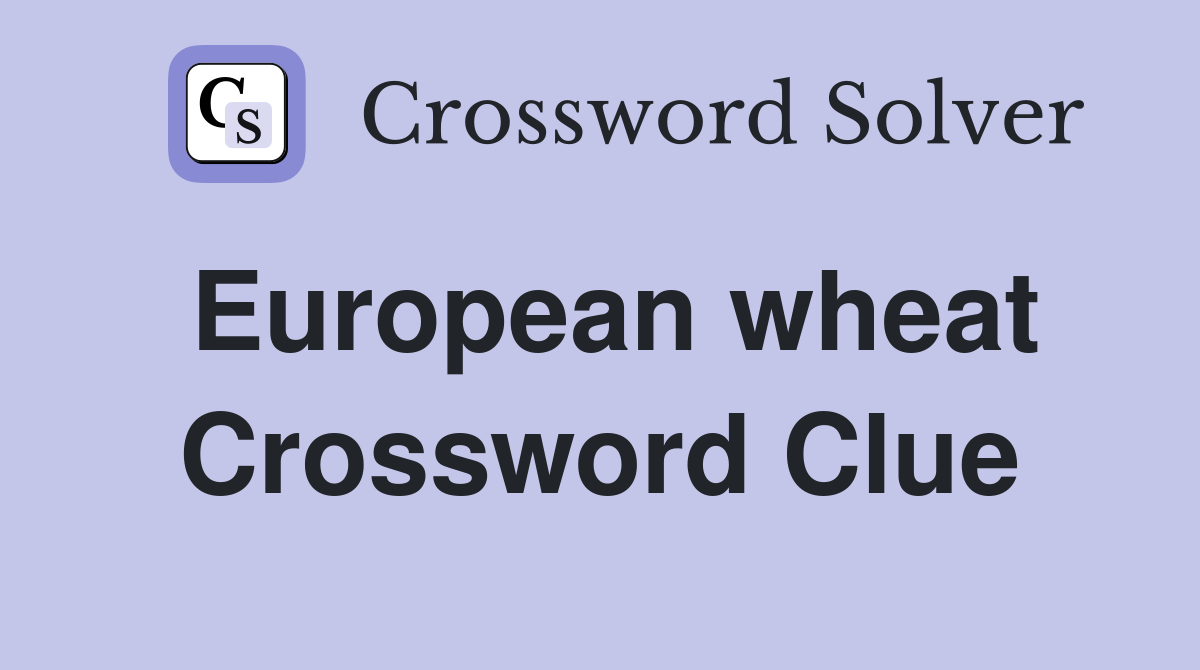 European wheat Crossword Clue