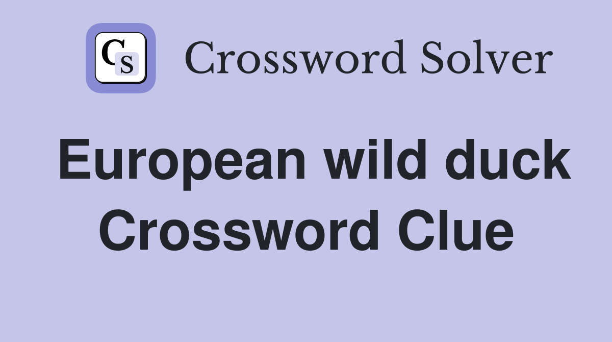 European wild duck Crossword Clue