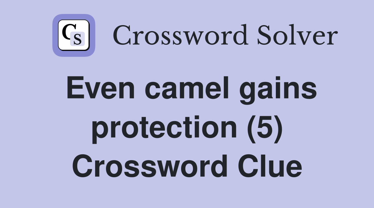 Even camel gains protection (5) Crossword Clue