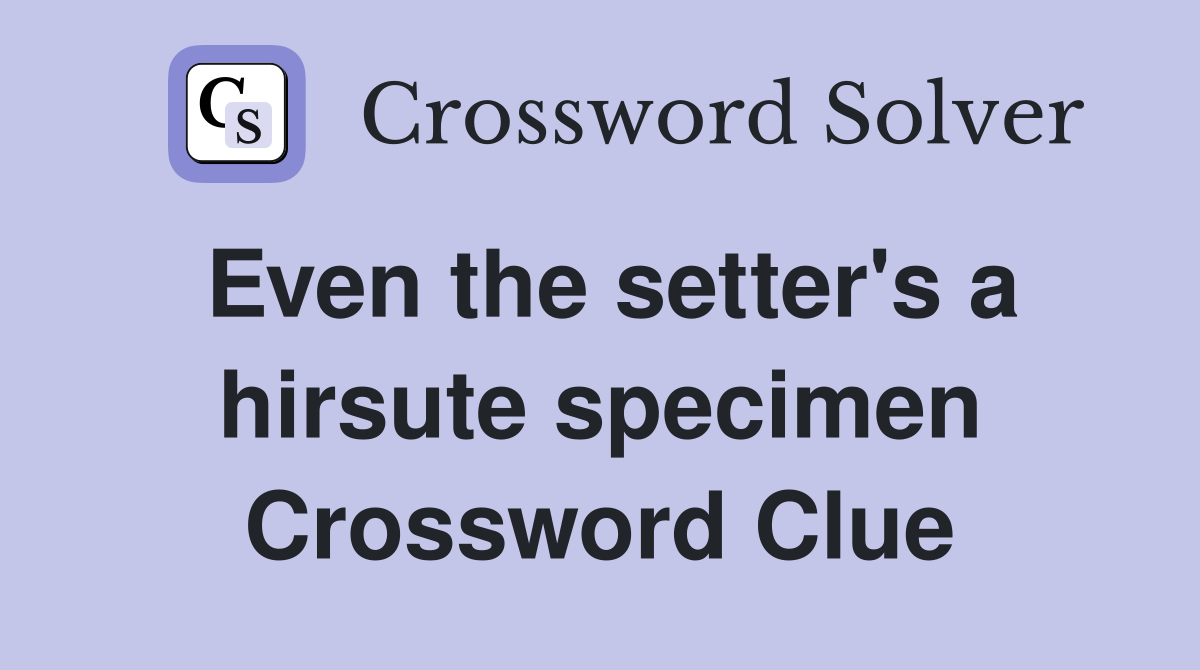 Even the setter's a hirsute specimen Crossword Clue