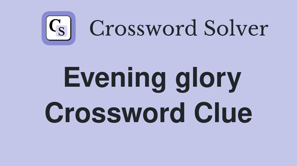 Evening glory Crossword Clue