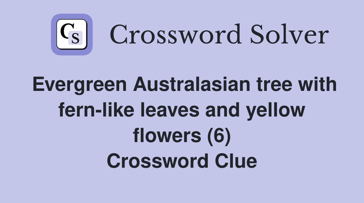 Evergreen Australasian tree with fern-like leaves and yellow flowers (6) Crossword Clue