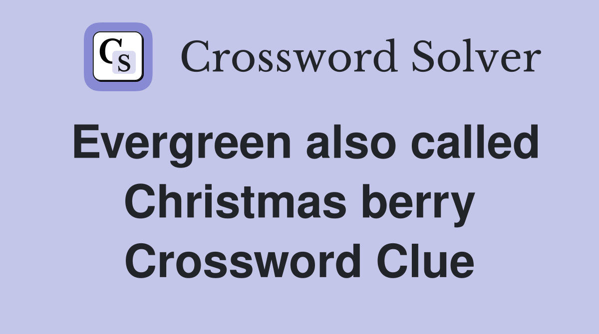 Evergreen also called Christmas berry Crossword Clue