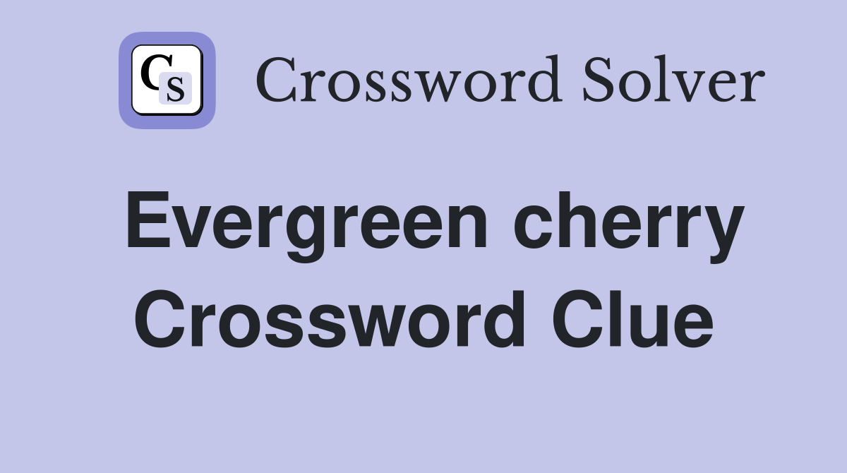 Evergreen cherry Crossword Clue