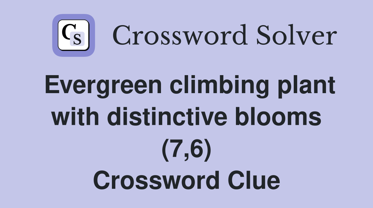 Evergreen climbing plant with distinctive blooms (7,6) Crossword Clue