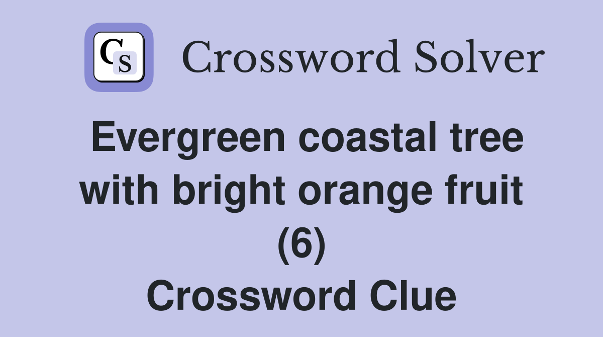 Evergreen coastal tree with bright orange fruit (6) Crossword Clue