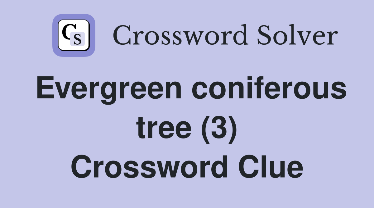 Evergreen coniferous tree (3) Crossword Clue