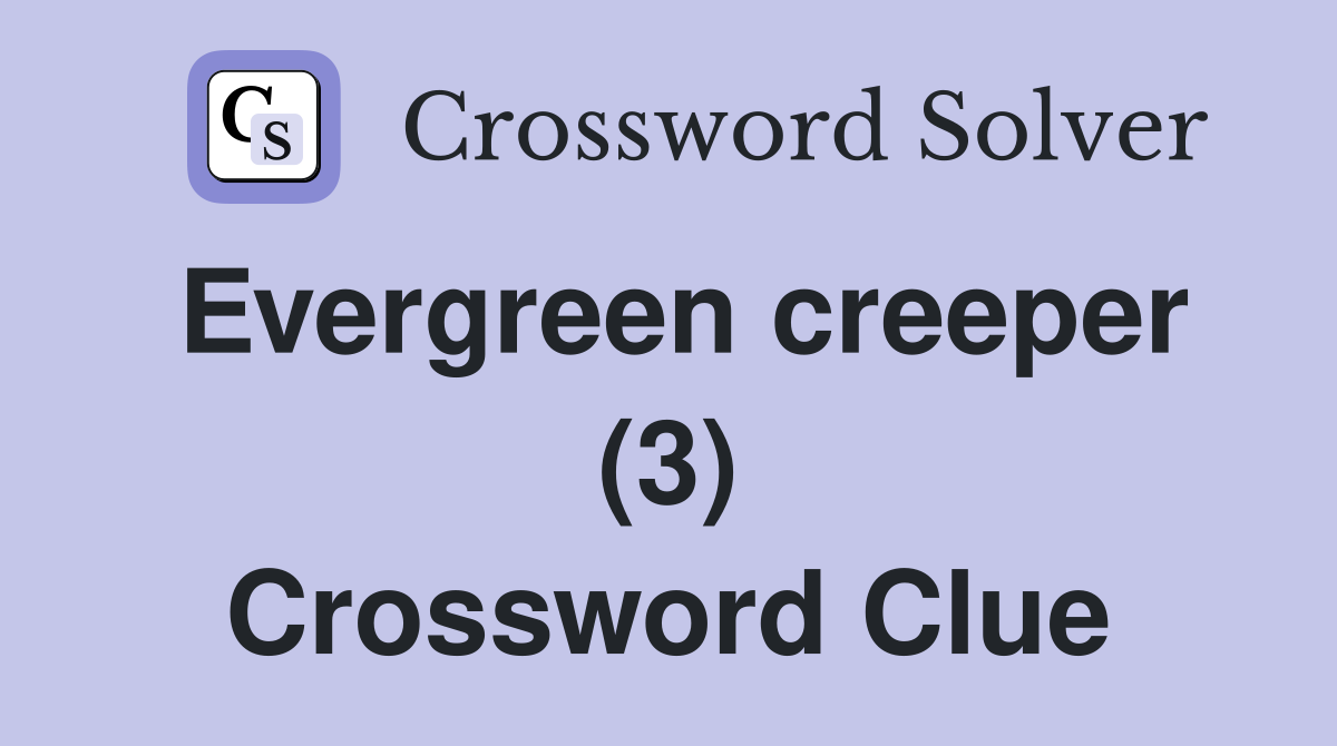 Evergreen creeper (3) Crossword Clue