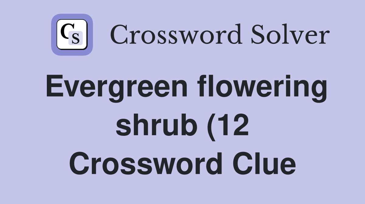 Evergreen flowering shrub (12) Crossword Clue Answers Crossword Solver Evergreen flowering shrub (12) Crossword Clue Answers Crossword Solver