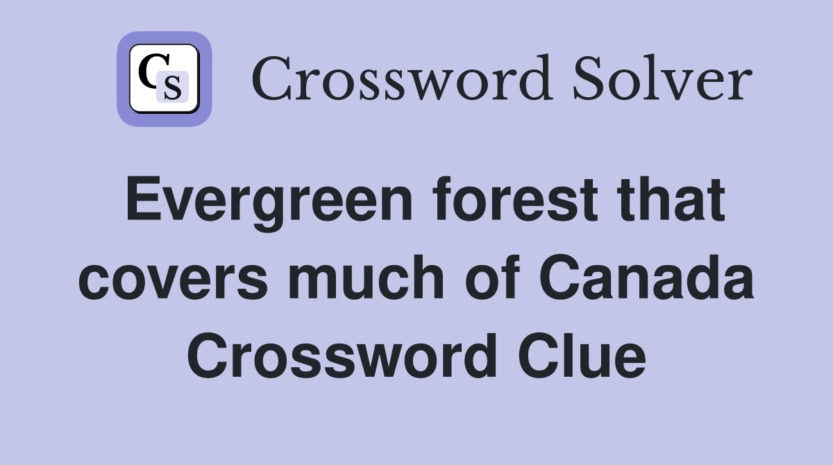 Evergreen forest that covers much of Canada Crossword Clue