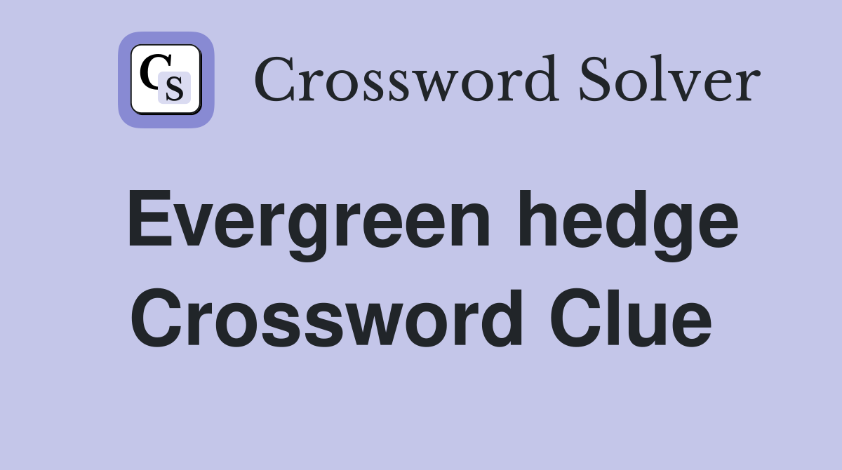 Evergreen hedge Crossword Clue