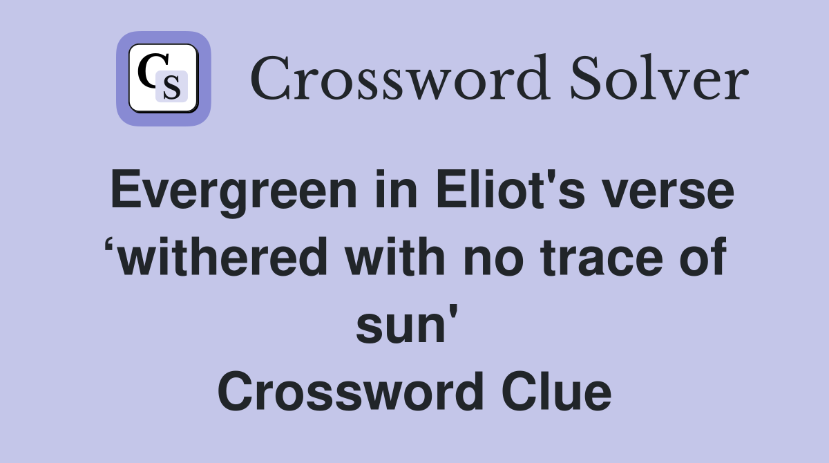 Evergreen in Eliot's verse ‘withered with no trace of sun'  Crossword Clue