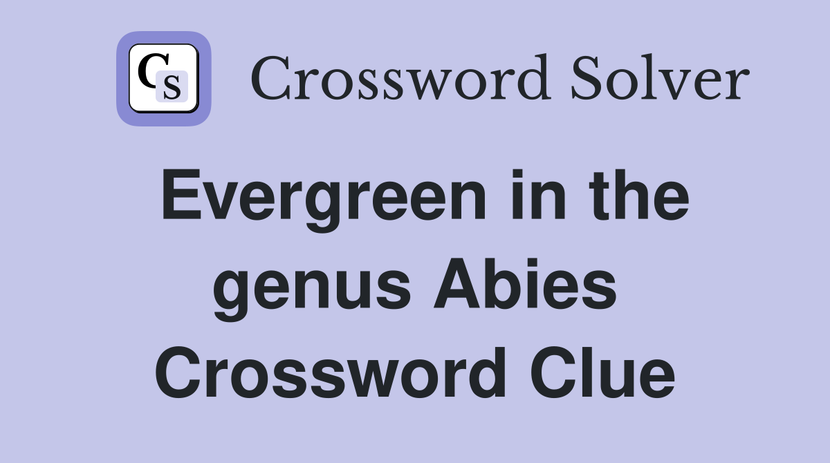 Evergreen in the genus Abies Crossword Clue