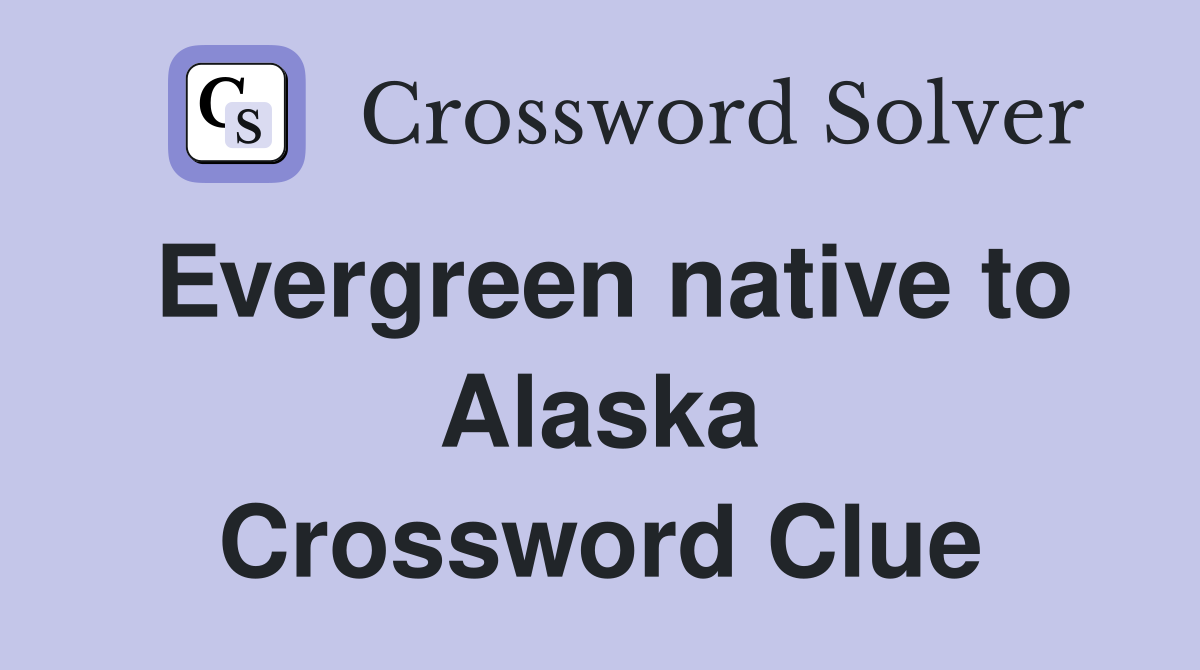 Evergreen native to Alaska Crossword Clue