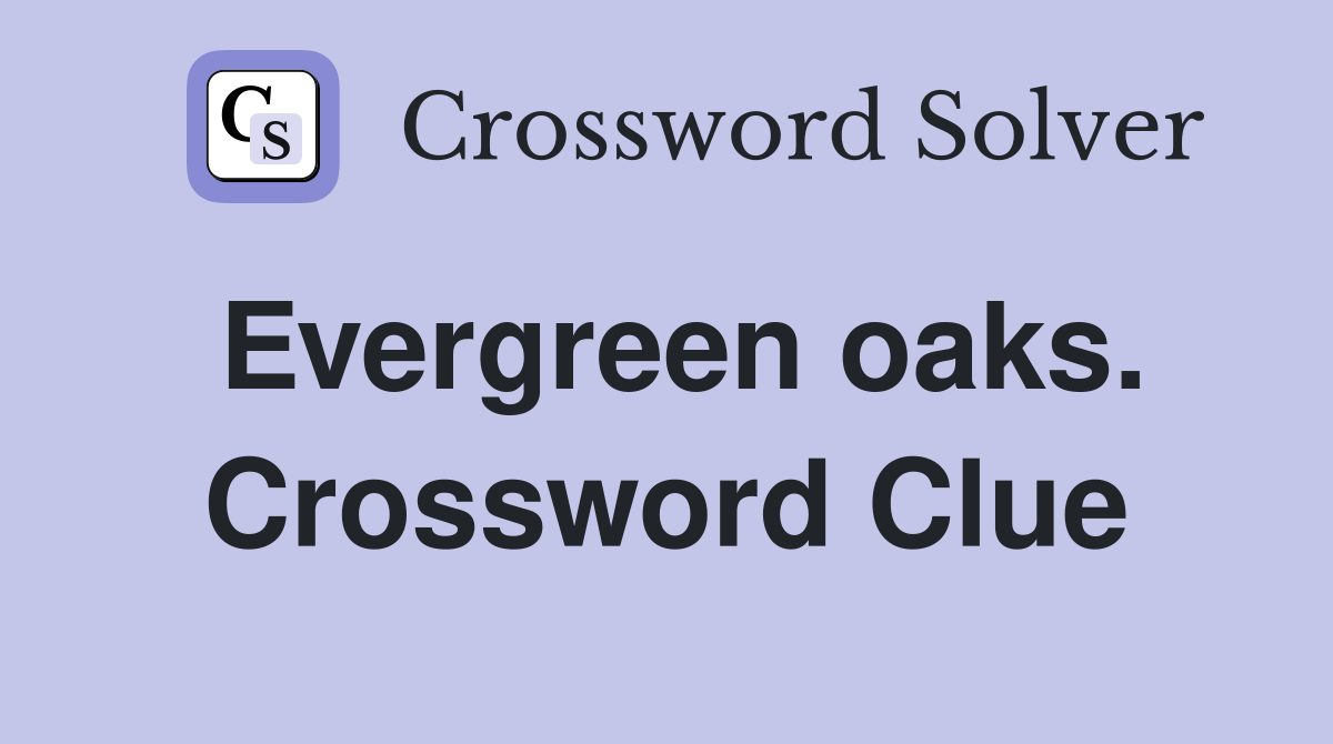 Evergreen oaks. Crossword Clue