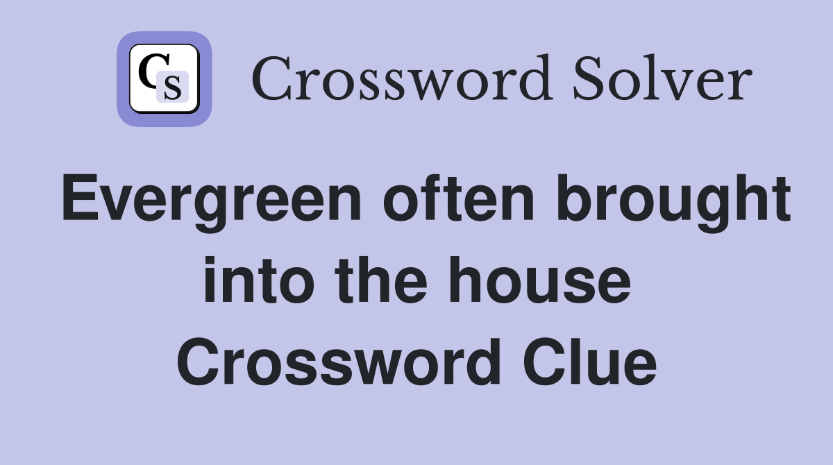 Evergreen often brought into the house Crossword Clue