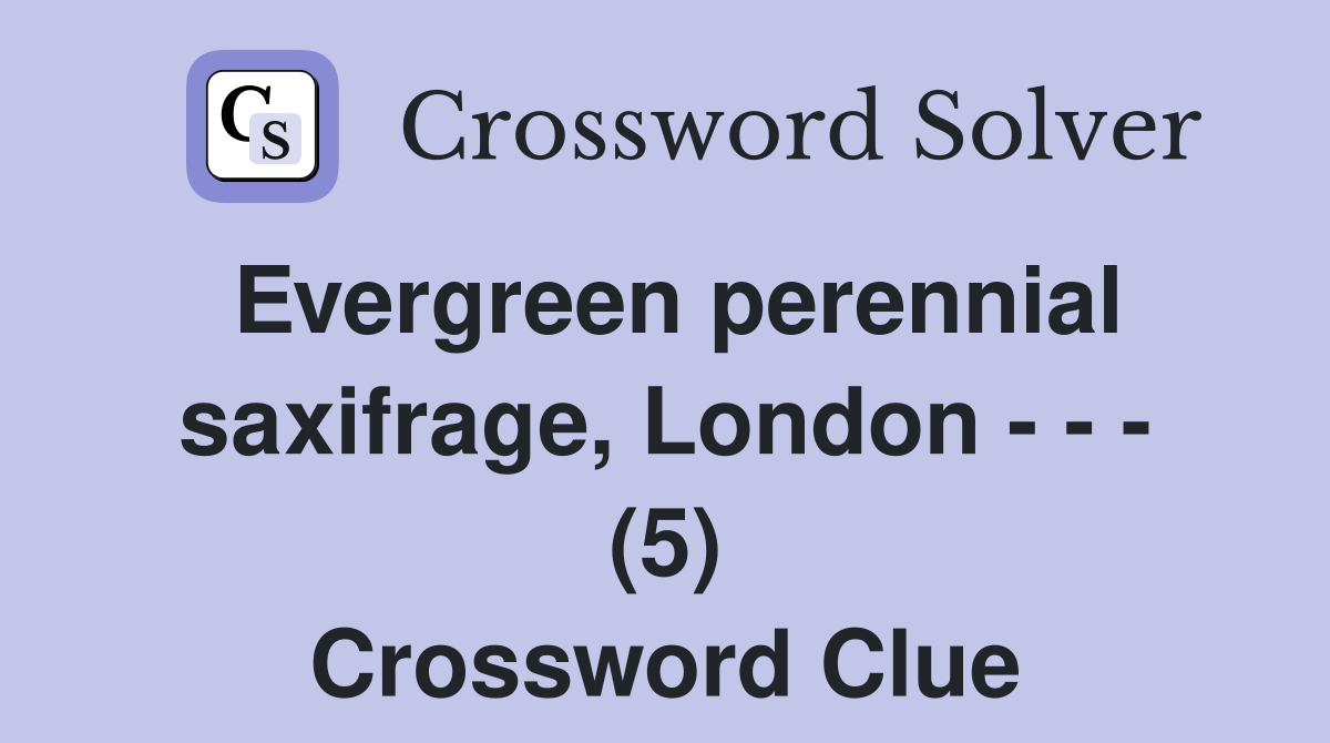 Evergreen perennial saxifrage, London - - - (5) Crossword Clue