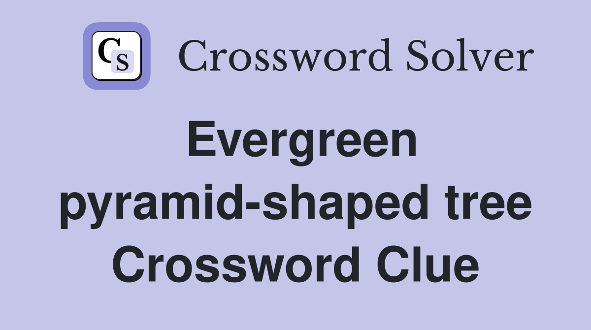 Evergreen pyramid-shaped tree Crossword Clue