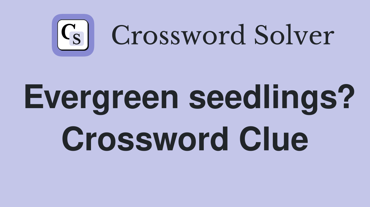 Evergreen seedlings? Crossword Clue