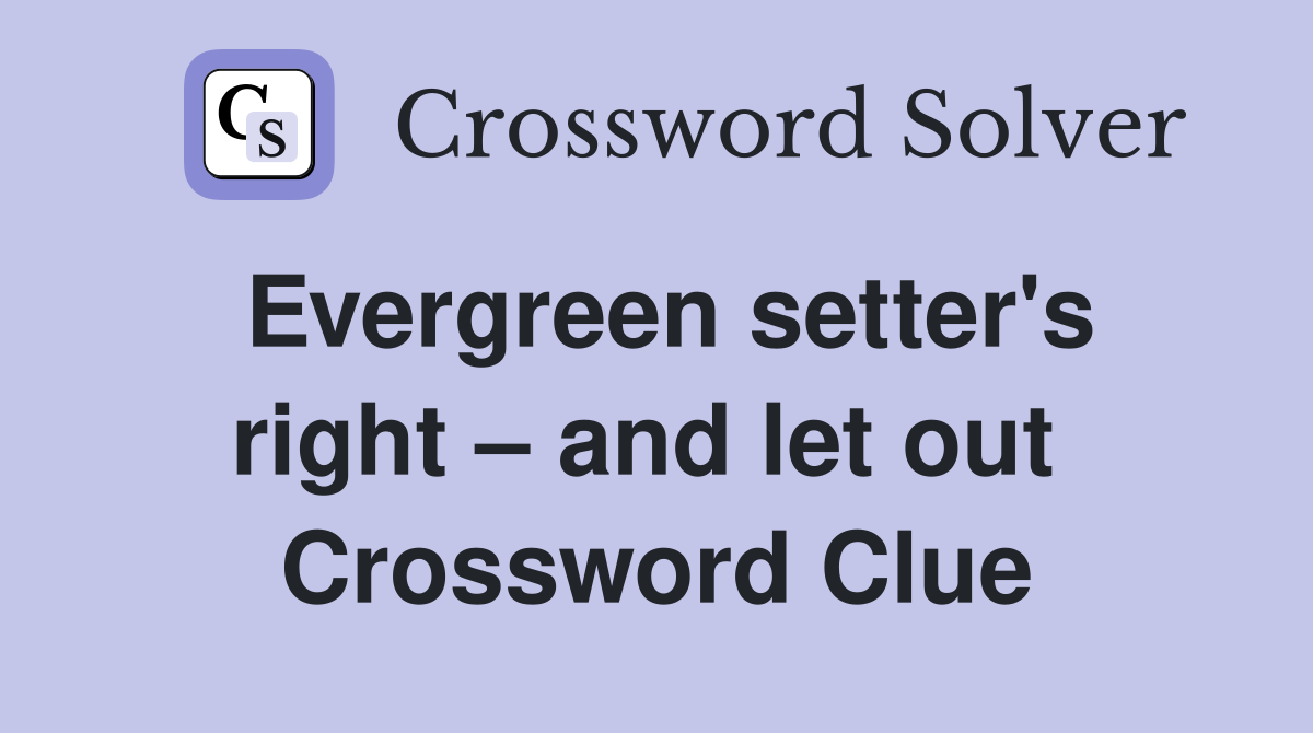 Evergreen setter's right – and let out  Crossword Clue