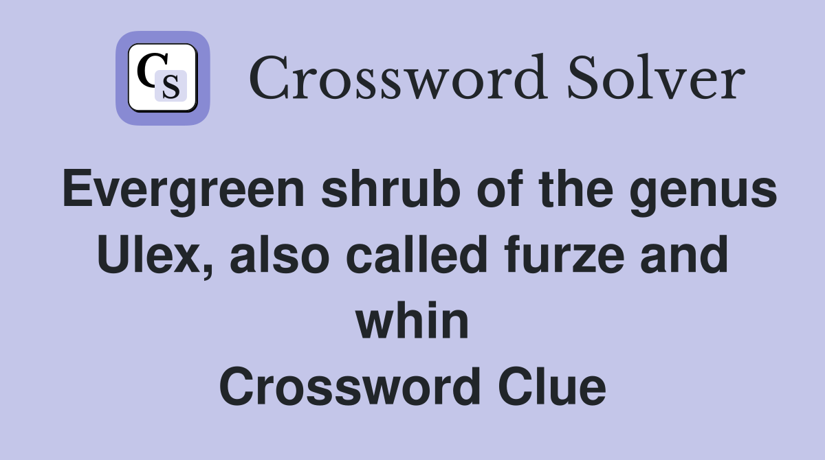 Evergreen shrub of the genus Ulex, also called furze and whin Crossword Clue