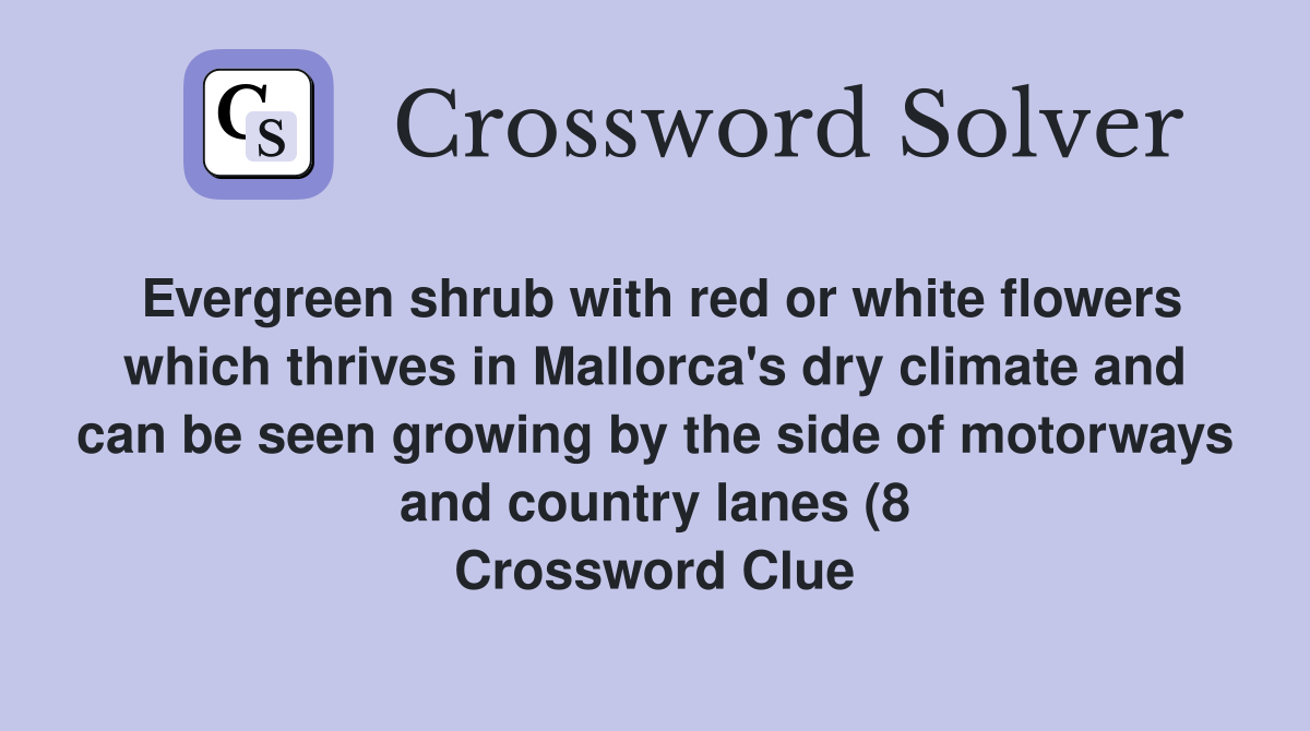 Evergreen shrub with red or white flowers which thrives in Mallorca #39 s Evergreen shrub with red or white flowers which thrives in Mallorca #39 s